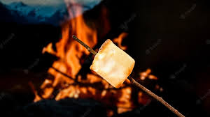 Food ideas for bonfire party