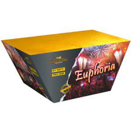 Euphoria Hallmark fireworks