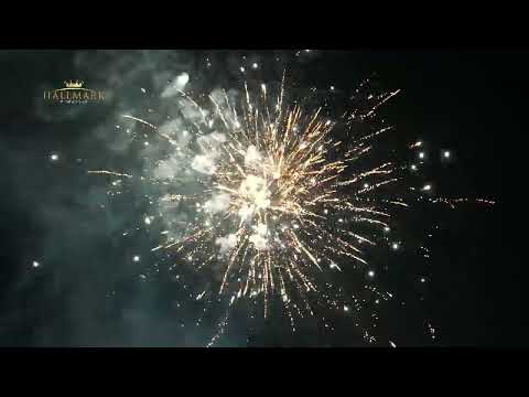 Watch Quantum Fusion Firework Video