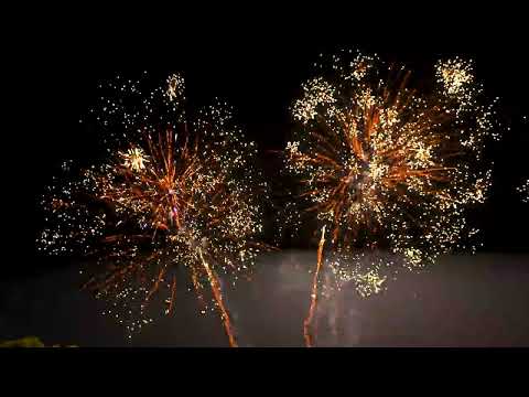 Wild Thing by Hallmark Fireworks
