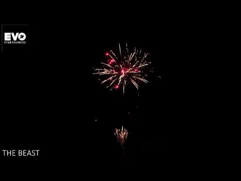 The Beast by Evolution Fireworks