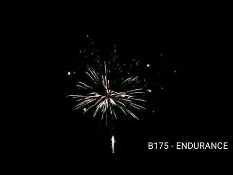 Endurance Evolution Fireworks 